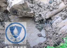 清新区水管漏水检测公司5